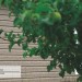 Сайдинг Ю-Пласт TIMBERBLOCK Пихта (Тимберблок) Cахалинская купить в Фрязино