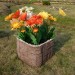 Цветник КАНЬОН купить в Фрязино